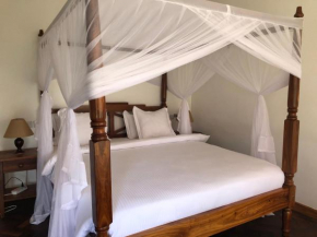 Bird of Paradise Eco Lodge